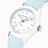 earthen summit blue bird