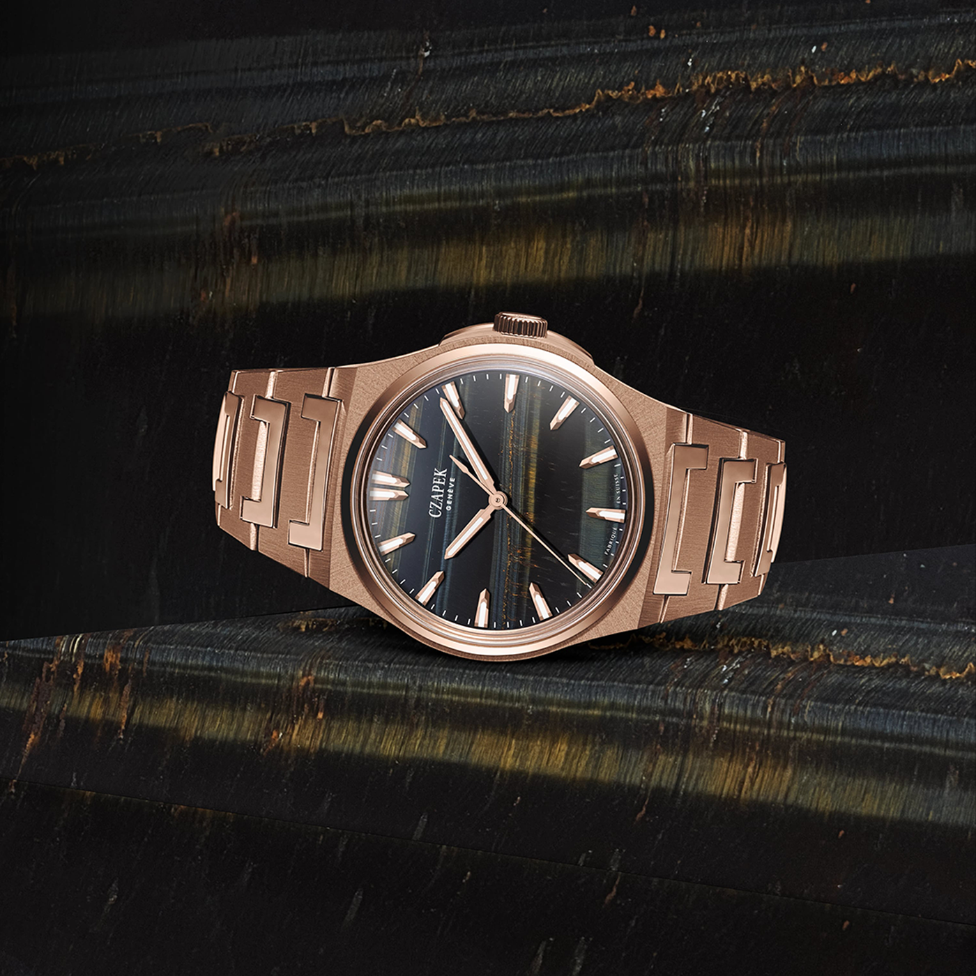 Antarctique Mount Erebus Falcon Eye