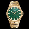 Antarctique Mount Erebus Green Meteor