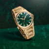Antarctique Mount Erebus Green Meteor