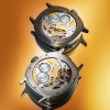 Havid Nagan HN02 Casebacks Havid Nagan HN02 Casebacks