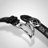 Buckle Shot 1 WB